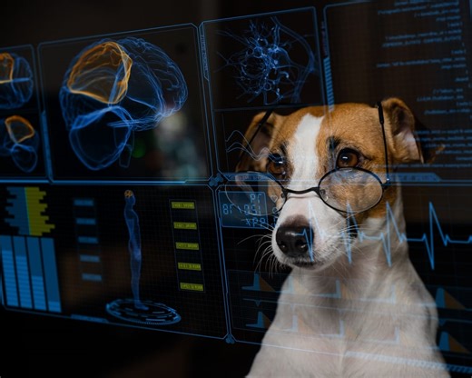 AI in Pet Care: 8 Artificial Intelligence Tools to Monitor Dog Health