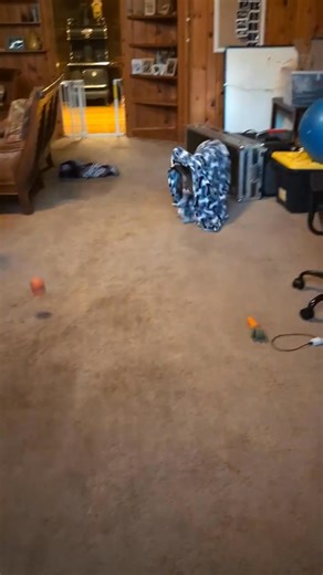 "I think dogs are the most amazing creatures; they give unconditional love. For me, they are the role model for being alive." —Gilda Radner | Phased Fitness | Facebook