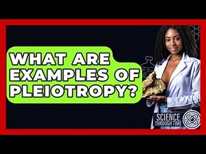 What Are Examples Of Pleiotropy? - Science Through Time