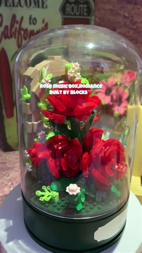 Rose music box,romance built by blocks❤️ #beauty #rose #musicbox #photoshoot #homedecor