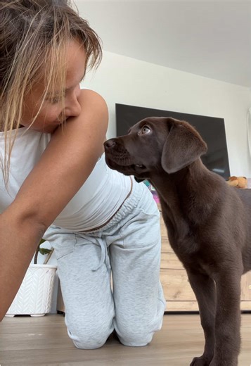 chloevienna0 on TikTok