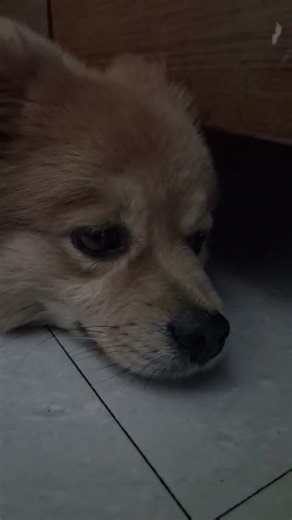 I quit guys my views are fading away #sad #goodbye