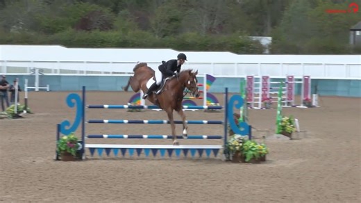 23K views · 251 reactions | We're delighted to be back at Dallas...