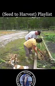 2.7K views · 337 reactions | Grow TONS of Vegetables Playlist...