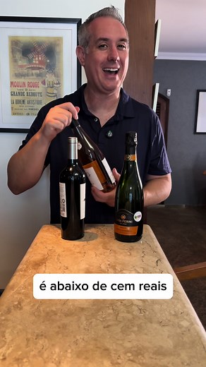 3 Vinhos Abaixo de R$100 Reais que Você Vai Amar