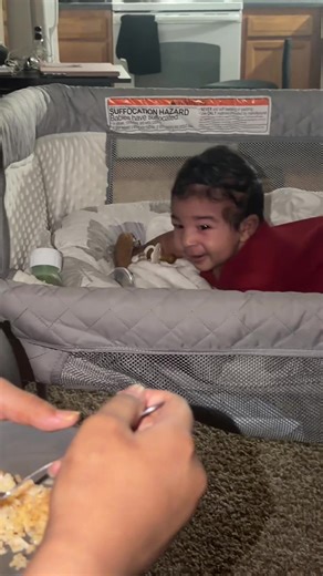 Funniest Cat Workout Moments