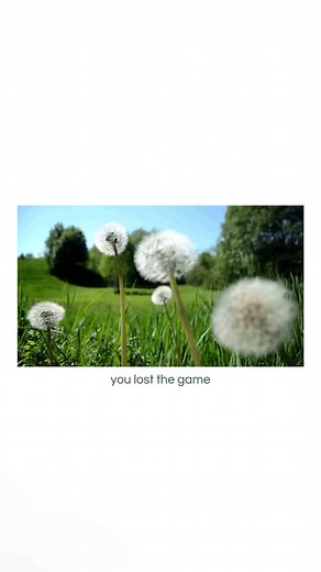 The Game Explained — Why You Just Lost The Game