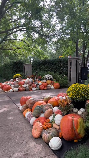 Cheap Party City Halloween Decorations in Highland Park Dallas