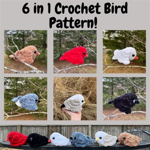 6 in 1 Crochet Bird Pattern! Customizable, Crochet Cardinal, Bluejay, Sparrow, Seagull, Raven, and Dove/turtle Dove Pattern! Bird Lover Gift - Etsy