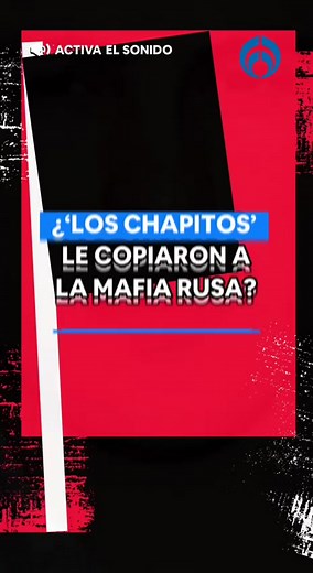 ¿'Los Chapitos' le copiaron a la mafia rusa? #crimenorganizado #mafiarusa #capos #tiktokinforma el mini lic y los chapitos - el mini lic y el licenciado - carel de sinaloa -