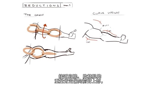 干货 | 大神sinix对手臂结构的讲解(下)