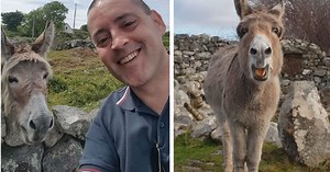Donkey With Voice Like An Opera Singer Performs For The Kind Man Who Always Brings Her Treats