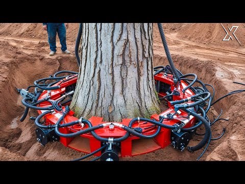 Most Dangerous Monster Stump Removal Excavator | World's Fastest Wood Chipper In Action! #37