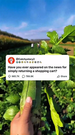 Have you ever appeared on the news for simply returning a shopping cart?
