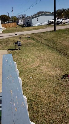 Feeling grateful on this beautiful Sunday! ✨✨🫶 | Kayla Rickman