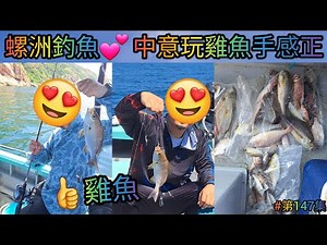 【香港艇釣精華】X 第147集- 東水螺洲釣魚魚獲Vlog ｜肥雞魚｜中意玩雞魚手感正｜肥沙鱲魚｜瓜衫｜泥鯭｜奄釘｜烏絲｜牛鰍魚｜雜魚｜釣魚日期: 13/09/2024 #釣魚 #香港釣魚 #釣魚分享
