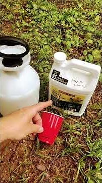 Easy Food plot weed killer mix | Deer Hunting