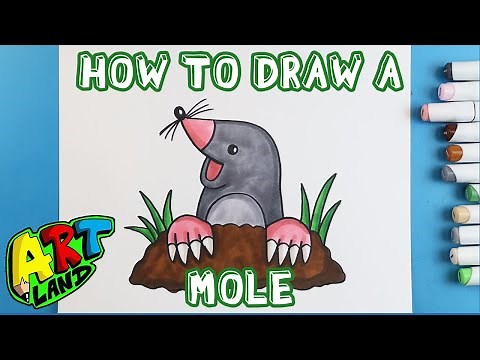 How to Draw a MOLE