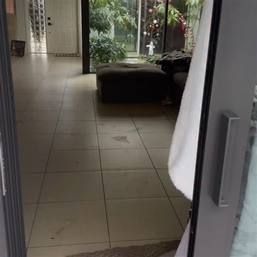 MEMPHIS🔥 on Instagram