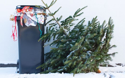 Why January 6 Is the Most Meaningful Day to Say Goodbye to Your Christmas Tree