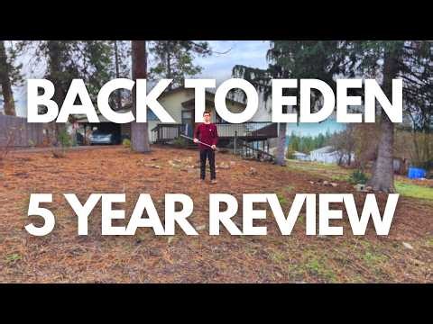 Should You Cover Your Yard with Wood Chips?