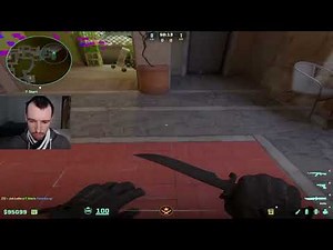 Program that eliminates flashbang sound CS2