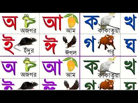Learn Bengali Alphabet | Consonants A B C D | Vowels A A E E | Learn Consonants | BANGLA BORNOMALA