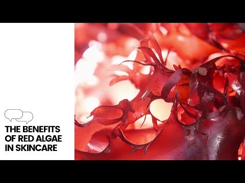 The Benefits of Red Algae in Skincare