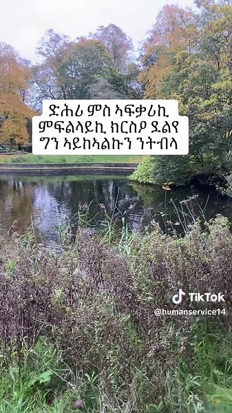 RAS SERVICE on TikTok