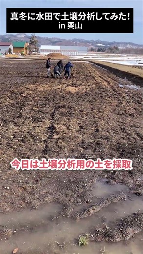 真冬の水田で土壌分析してみた！in栗山#shorts #北海道 #水田 #直播水稲