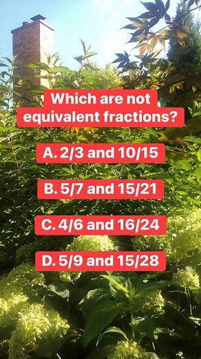 Equivalent Fractions #mathlovers #mathforall #MathUSA #uptodatecontent #followandshare | Teaching Master
