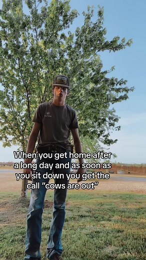This gotta be relatable to someone 😂. #farming #ranching #cattle #ranchingtiktok #cowboy #work #american #horse #superpunchin #cowboyshit #country #vexil #americanfarmer #americanhatcompany #notlaughing #cowsout