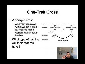 Bio107PatternsOfGeneInheritance