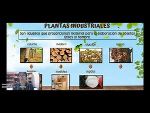 Plantas industriales y plantas ornamentales 🌻