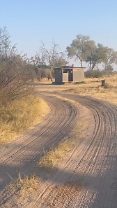 World Elephant Day … When you just want some quiet toilet time in Khwai, Botswana, but Ellie takes centre stage | The Buffalo Overlander