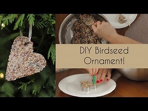 DIY Birdseed Ornament