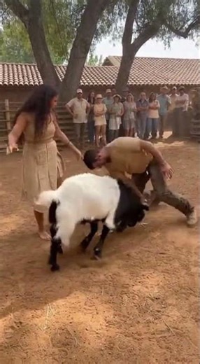 FunnyVideos Watch This Hilarious Farm Fails Compilation