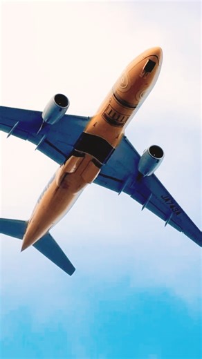 たくあん(STAR WARS JET C3PO)だ〜!😳【通りすがりのB777】ANA B777 #aviation #b777