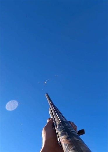 Don’t point at bunch of ducks together and shoot. Pick one ! #duckhunting #waterfowl #hunting #duck