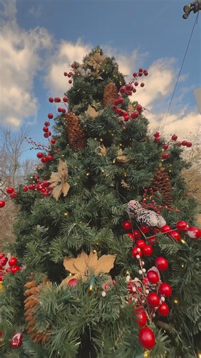 Holidays at the Hammock is here! 🎅✨ The backyard’s glowing, the taps are flowing, and the season’s officially in swing. From festive bites and fireside brews to family activities, snow shows, and cozy backyard vibes - it’s all happening at the Hammock. Don’t miss our Keg Tree Lighting this Wednesday, November 19th, as we light up the season in true Crooked Hammock fashion. 🍻🎄 Festivities begin at 6:30PM - the tree lights at 7:30PM! 🎁 Learn more about all things Holidays at the Hammock: 👉 ht