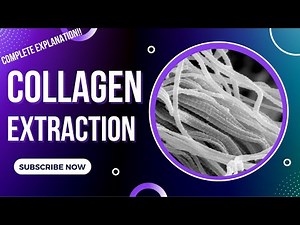Collagen Extraction || GATE Biotechnology BT || Biomaterials || Tissue Engineering