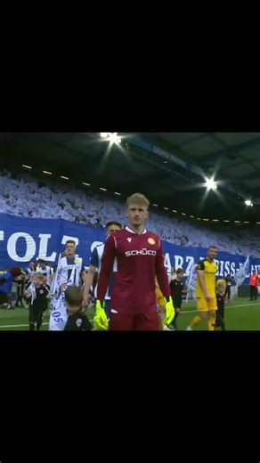 Dynamo Dresden's Journey in 3 Liga: A Season Review