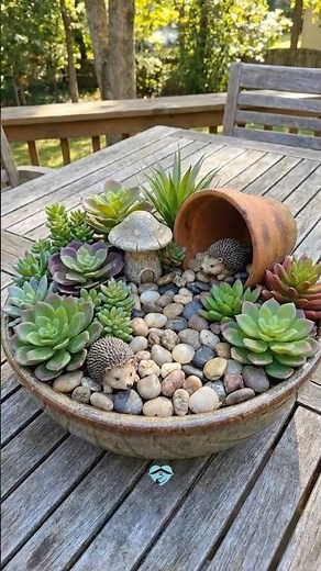 A Succulent Garden That Tells a Story