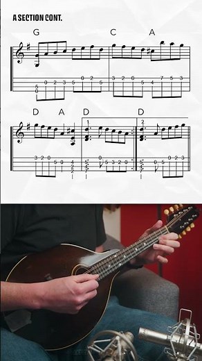 "Carolan's Draught" Mandolin Melody #shorts