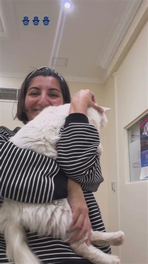 Visited my son Rustem in the clinic today💐🤍🫂🙏🏾💓 #catsofyoutube #catsofyoutube #straycats