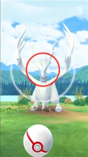 WB RAID in 40s - Legendary Reshiram Weather Boosted!! #pokemon #pokemongo