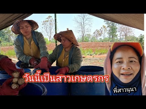 Today is March 25, 2026, when I am a farmer's daughter.