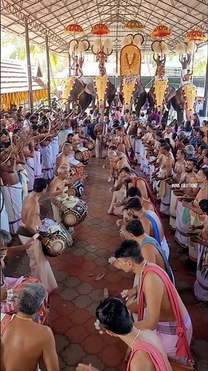 കണ്ണുകോട്ട് കാവ് ആറാട്ട് പഞ്ചവാദ്യം