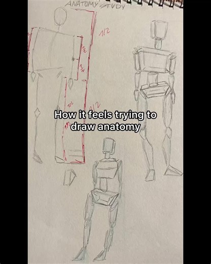 Anatomy Drawing Techniques for Beginners