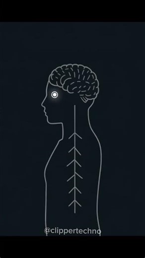 Kenapa Kita Bisa Bersin Padahal Tidak Ada Debu?